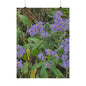 Wild Asters — Blue Ridge Wildflowers Poster