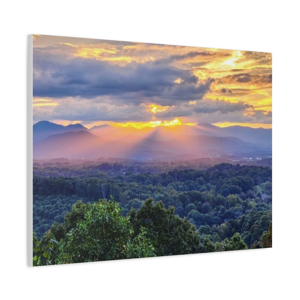 Matte Canvas, Stretched, 1.25"