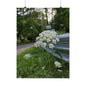 Queen Anne's Lace — Blue Ridge Wildflowers Poster