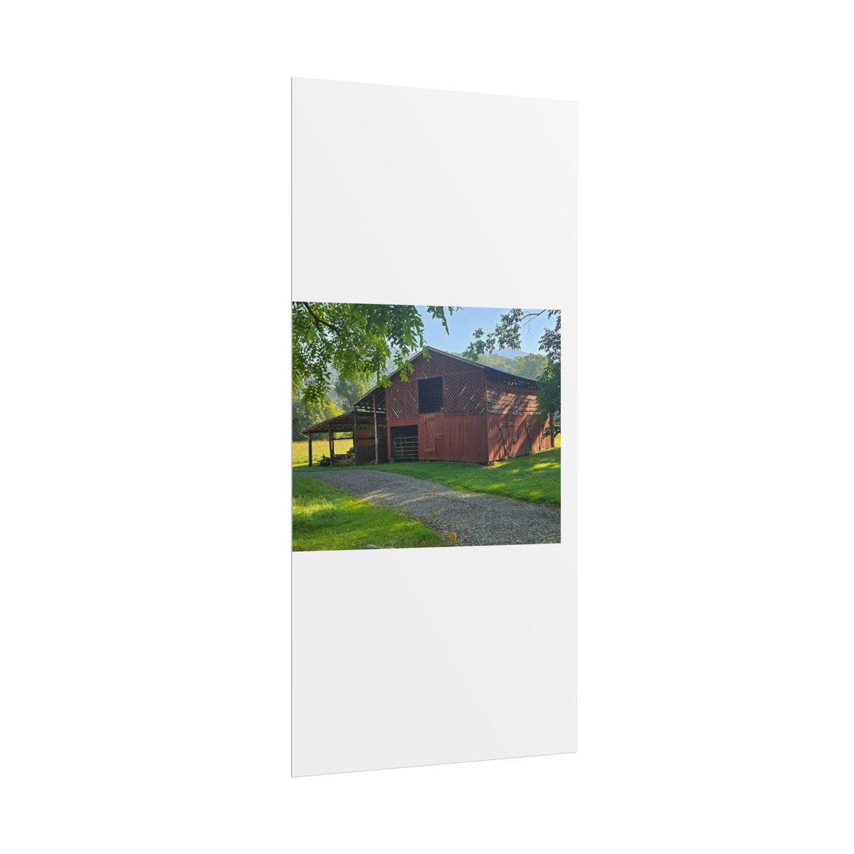 Rolled Posters