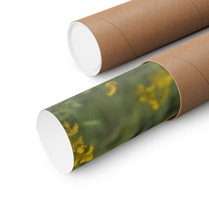 Goldenrod at Golden Hour — Blue Ridge Wildflowers Poster