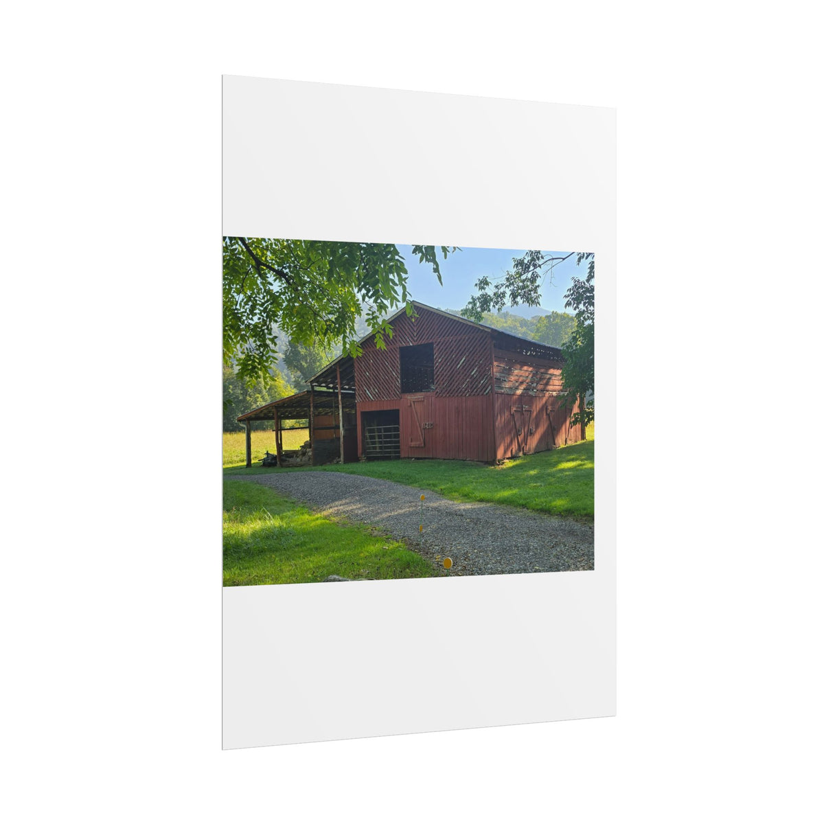 Rolled Posters