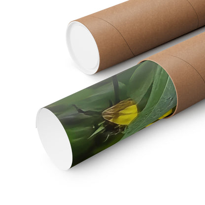 Green Coneflower — Blue Ridge Wildflowers Poster