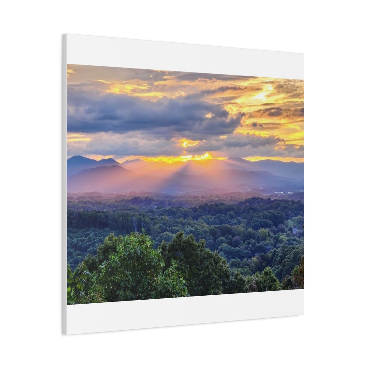 Matte Canvas, Stretched, 1.25"
