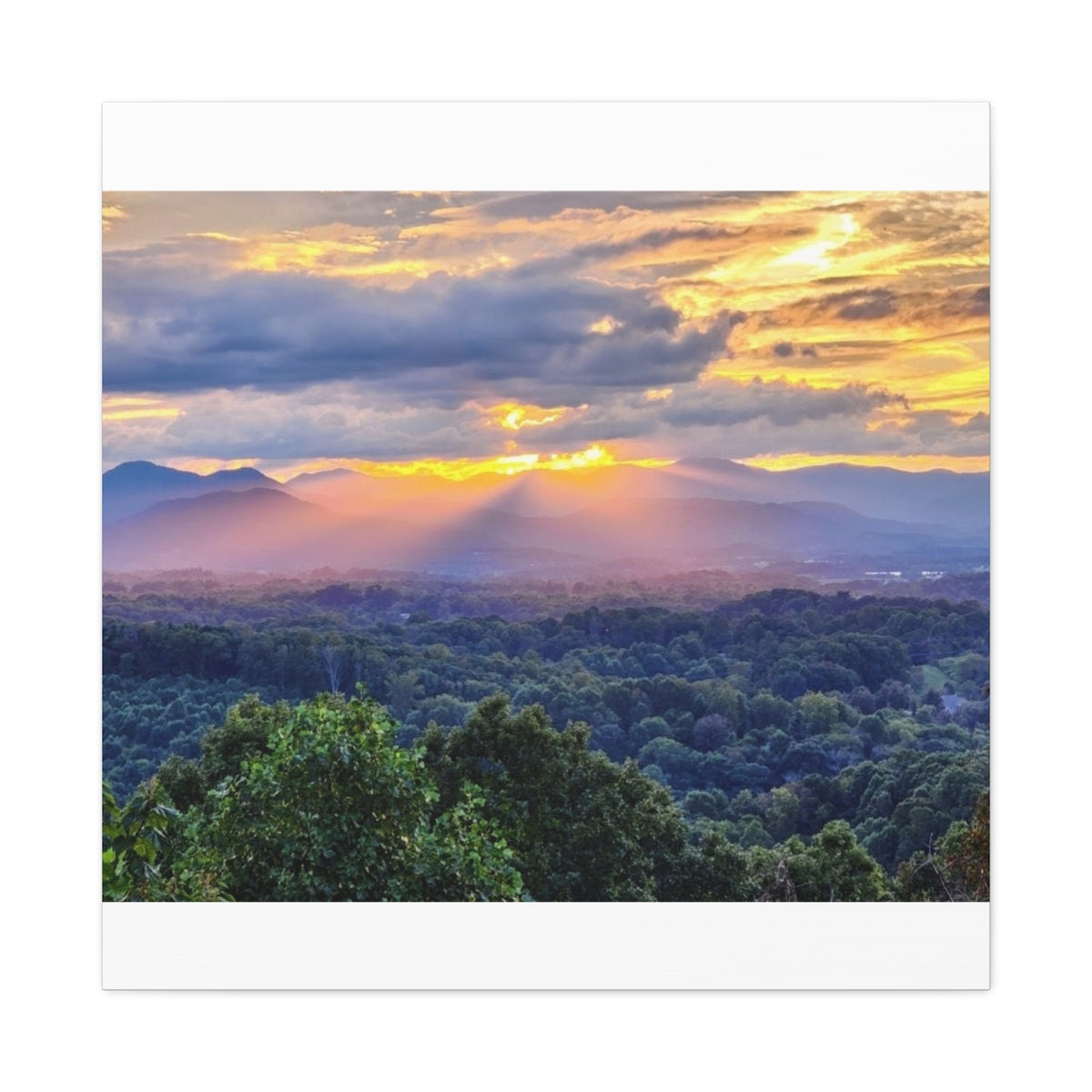 Matte Canvas, Stretched, 1.25"