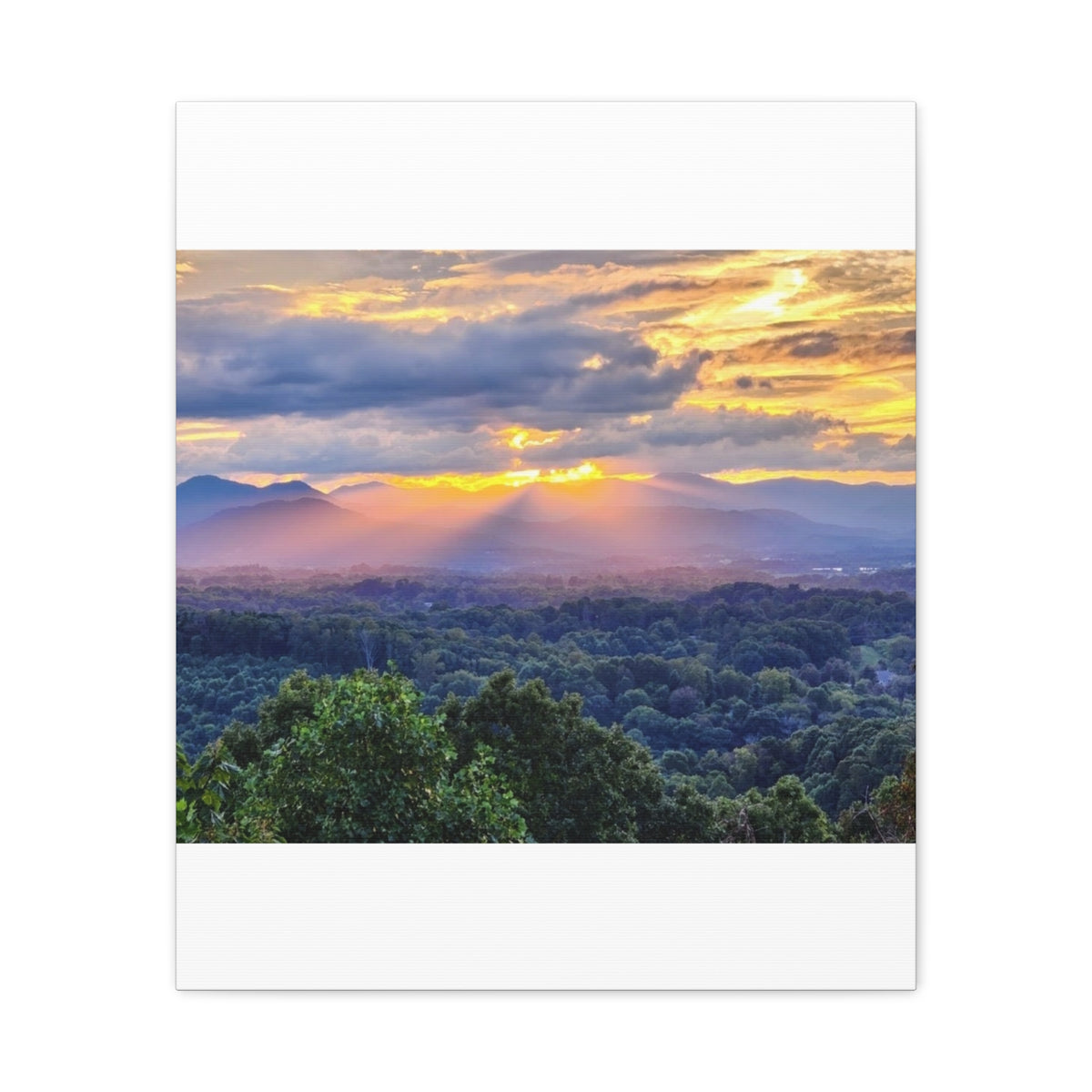 Matte Canvas, Stretched, 1.25"