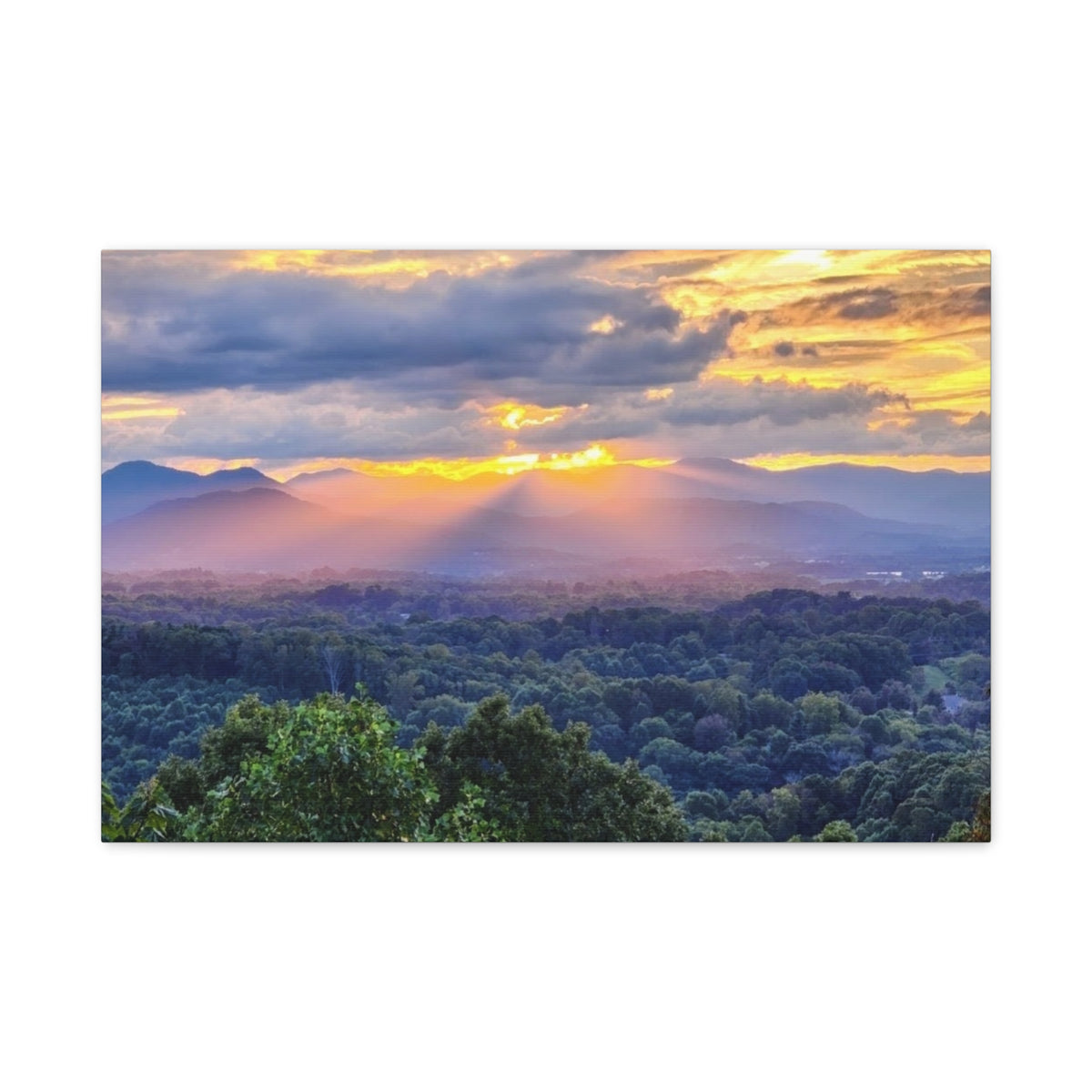 Matte Canvas, Stretched, 1.25"