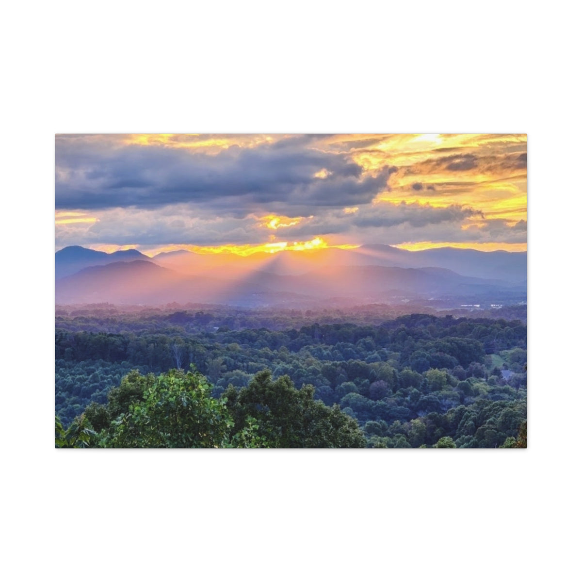 Matte Canvas, Stretched, 1.25"