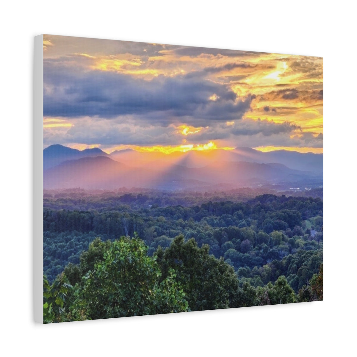 Matte Canvas, Stretched, 1.25"
