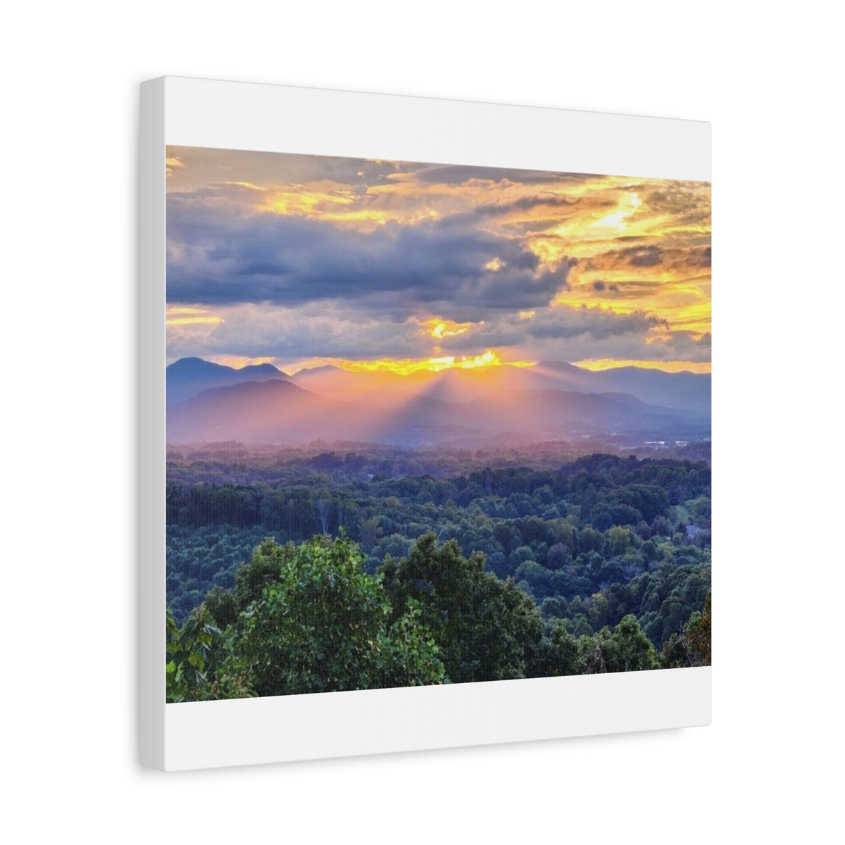Matte Canvas, Stretched, 1.25"