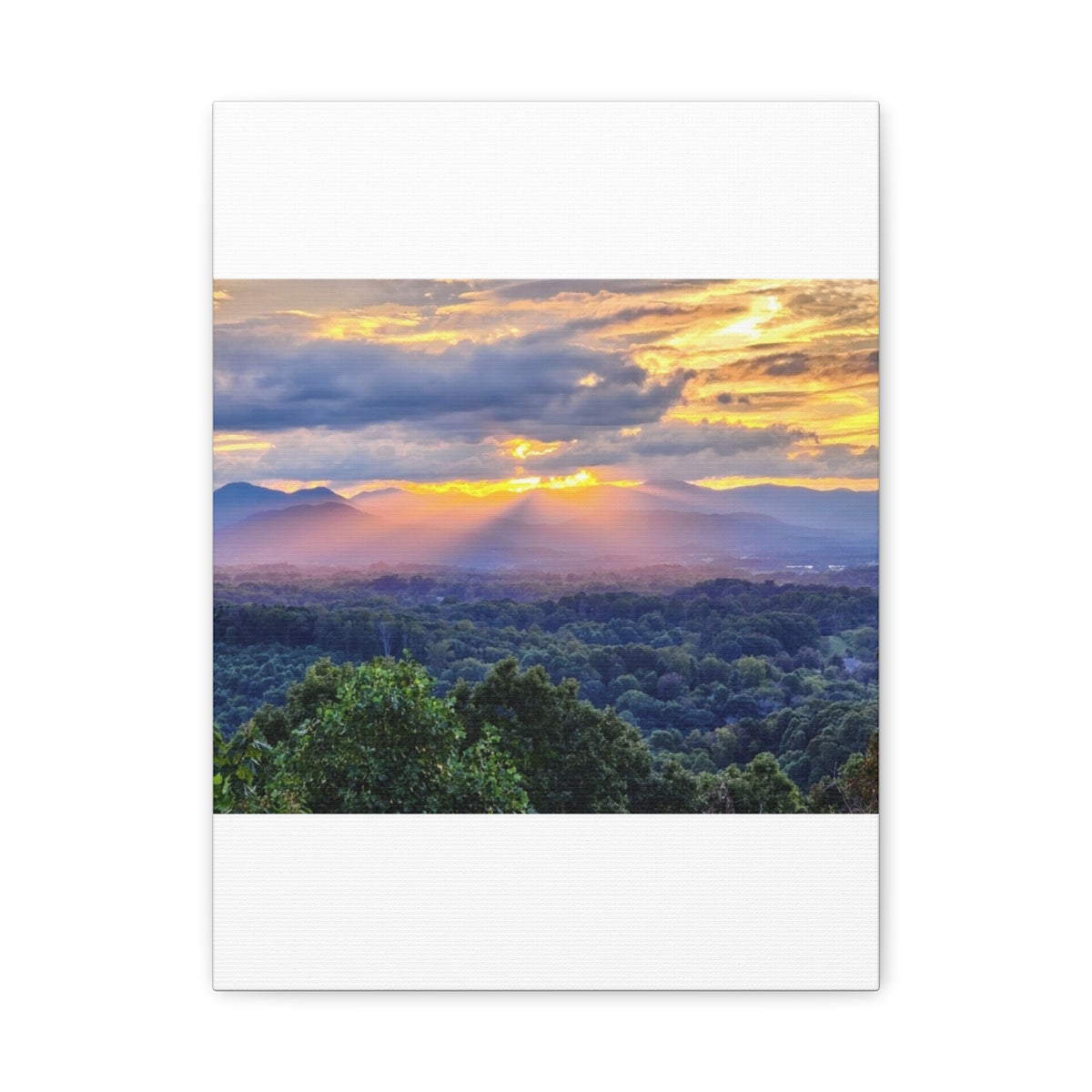 Matte Canvas, Stretched, 1.25"