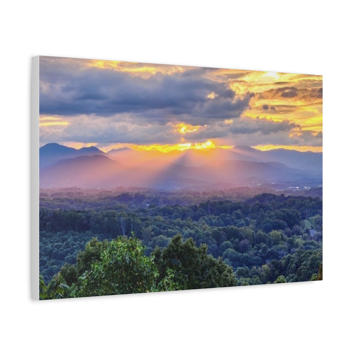 Matte Canvas, Stretched, 1.25"