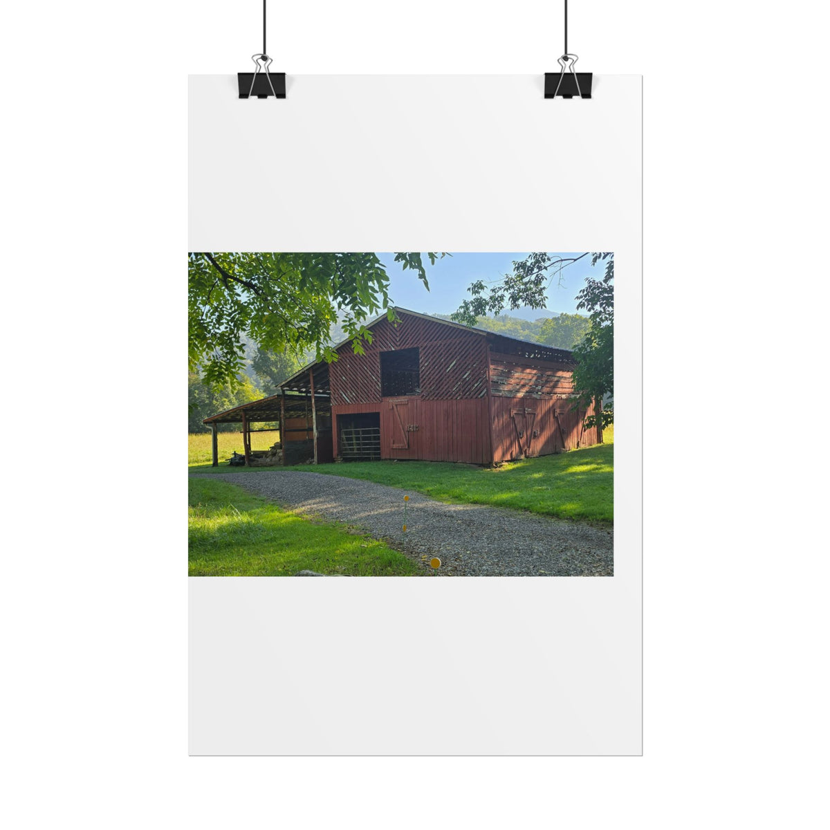 Rolled Posters