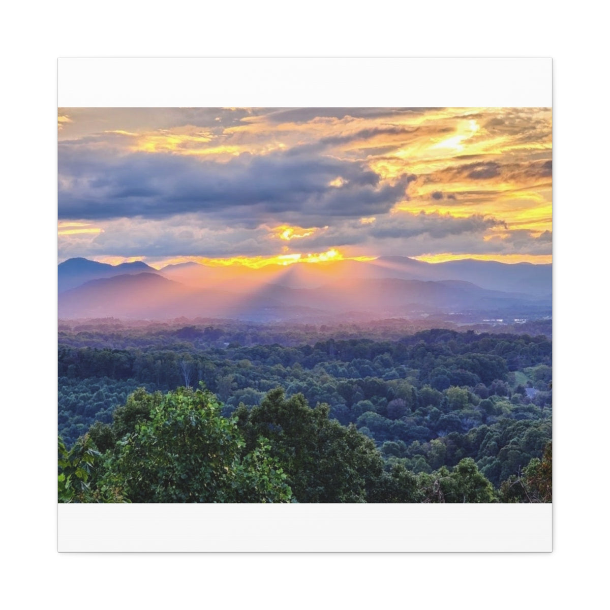 Matte Canvas, Stretched, 1.25"