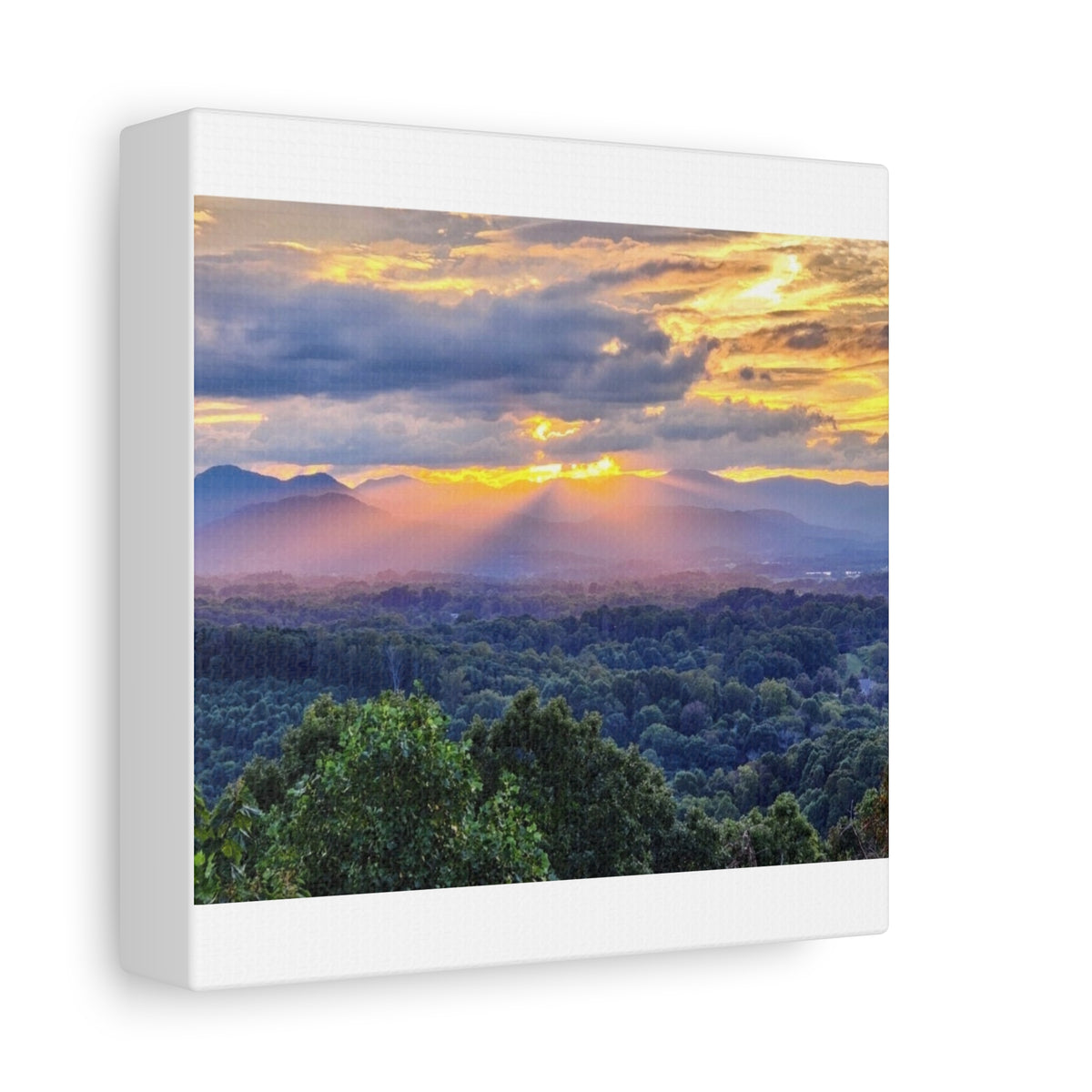 Matte Canvas, Stretched, 1.25"