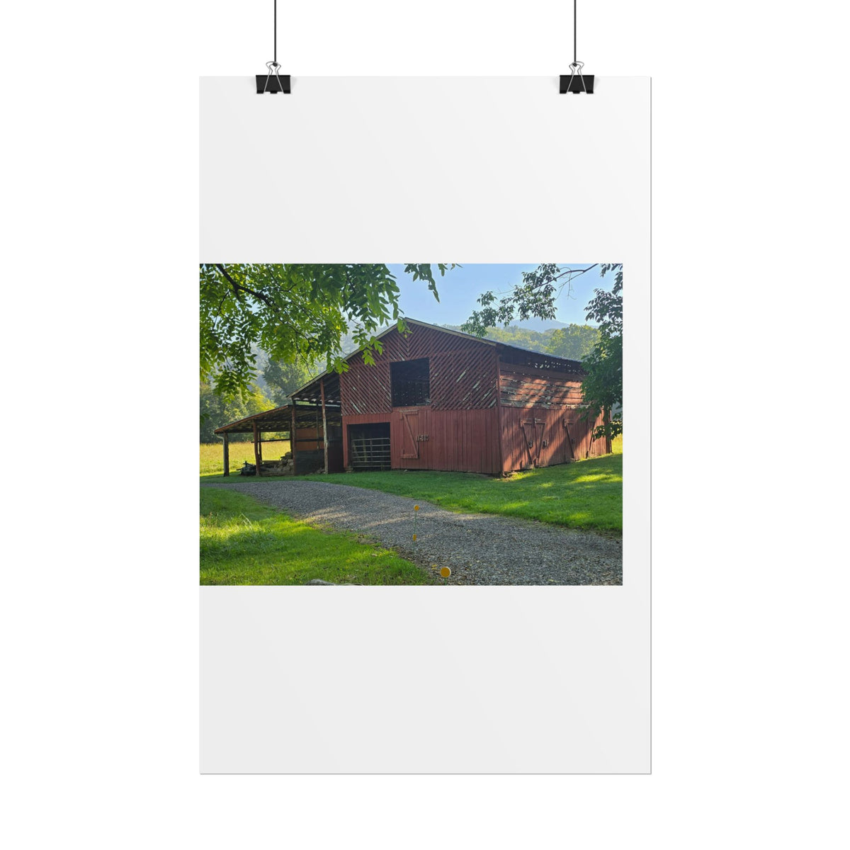 Rolled Posters