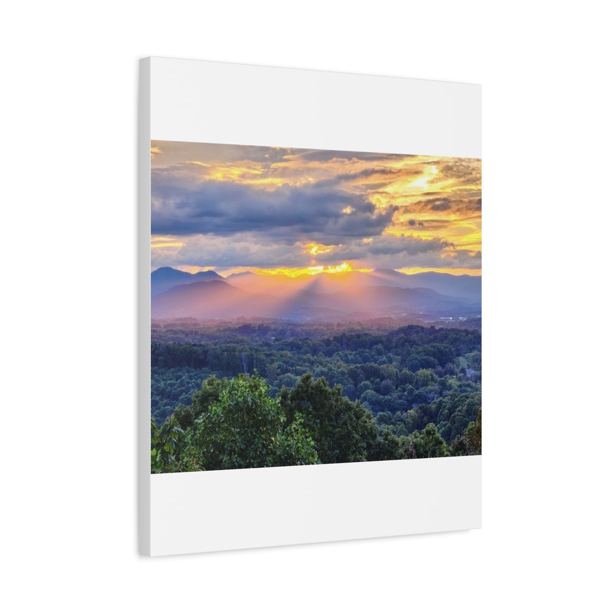 Matte Canvas, Stretched, 1.25"