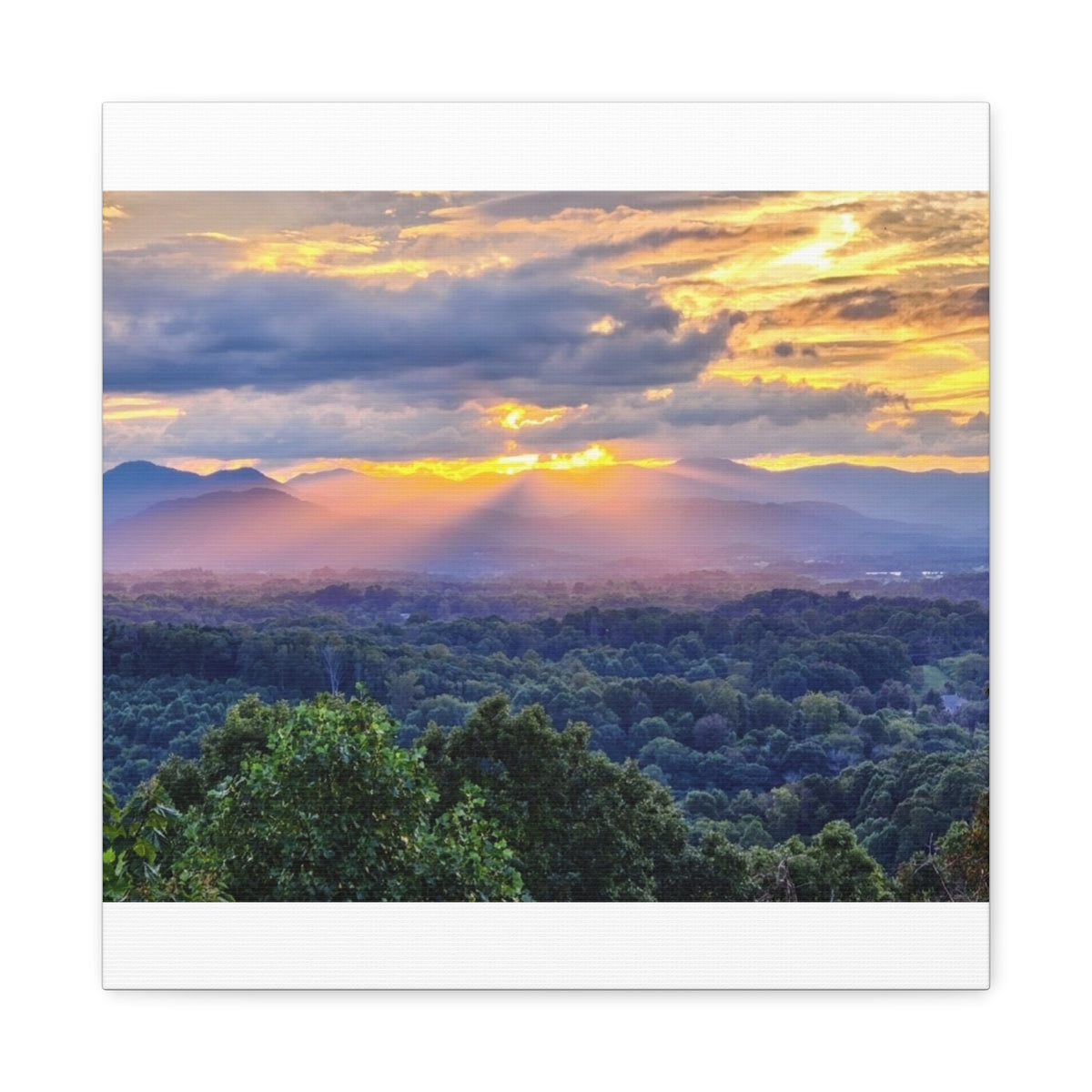 Matte Canvas, Stretched, 1.25"