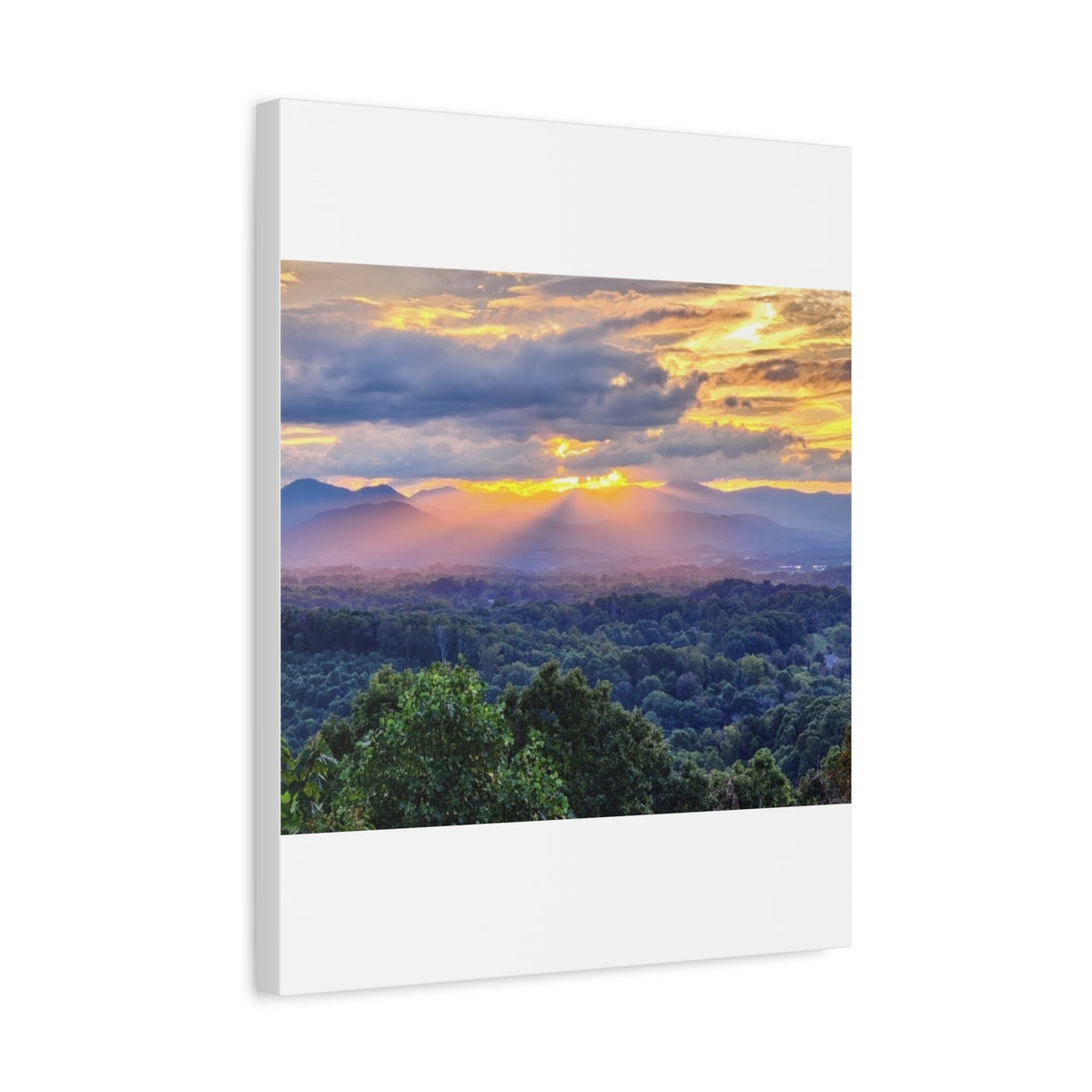 Matte Canvas, Stretched, 1.25"