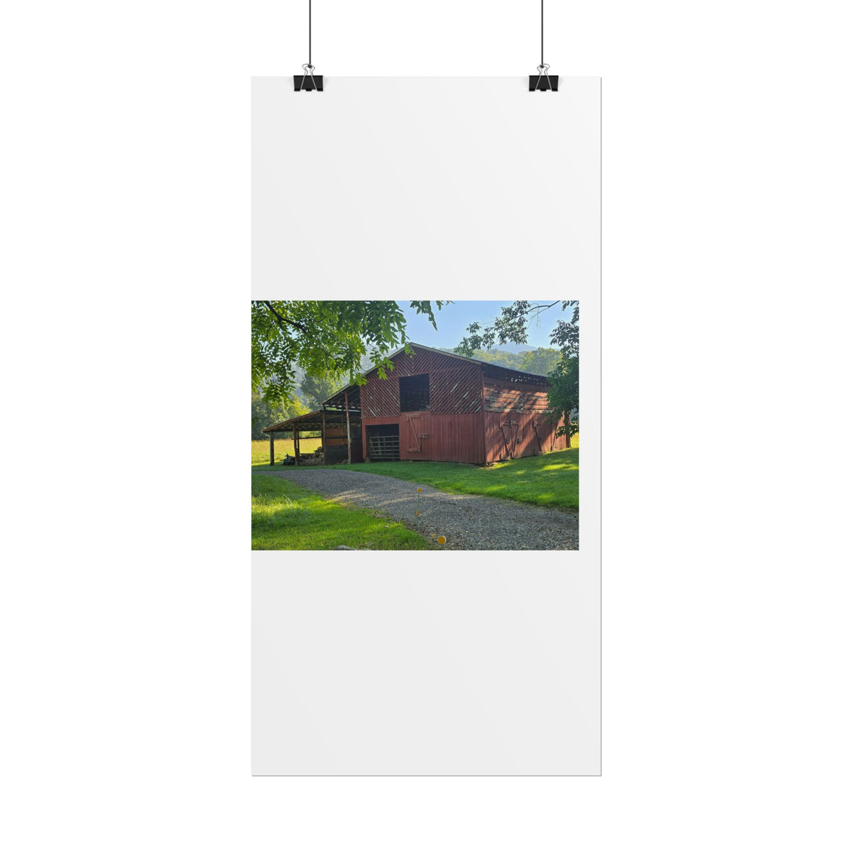 Rolled Posters