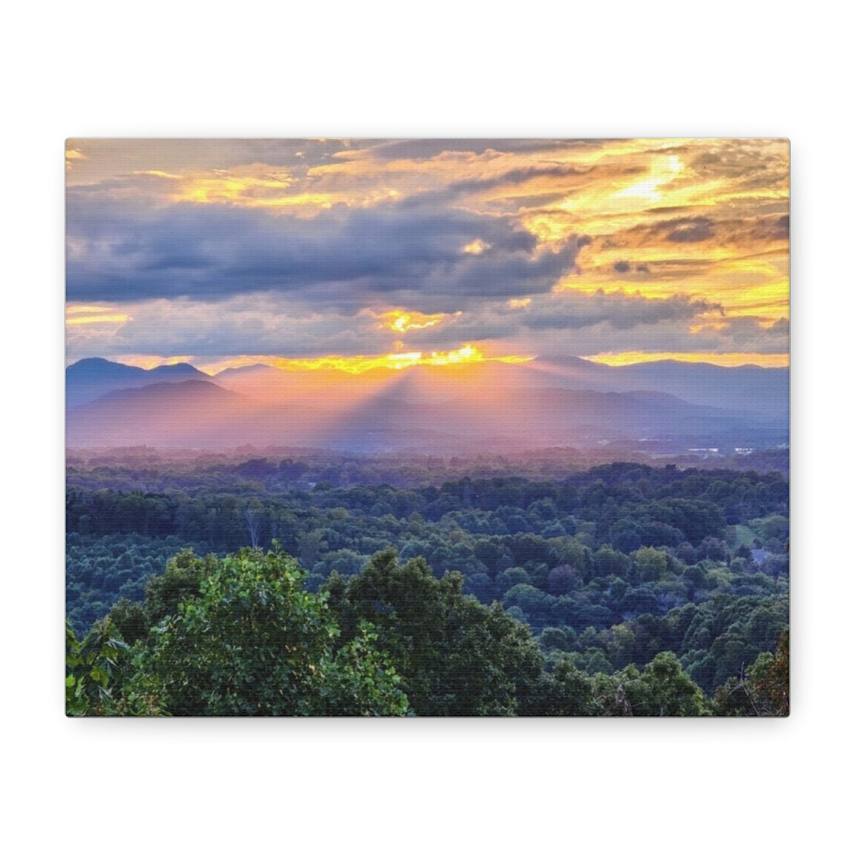 Matte Canvas, Stretched, 1.25"