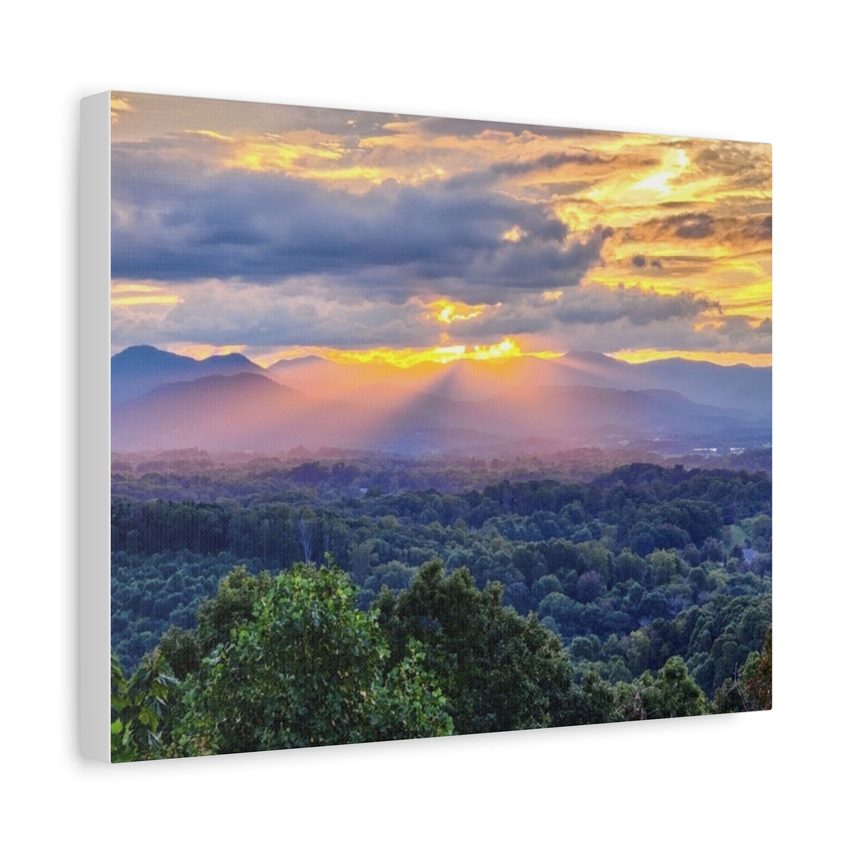 Matte Canvas, Stretched, 1.25"