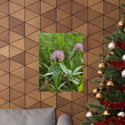 Red Clover — Blue Ridge Wildflowers Poster