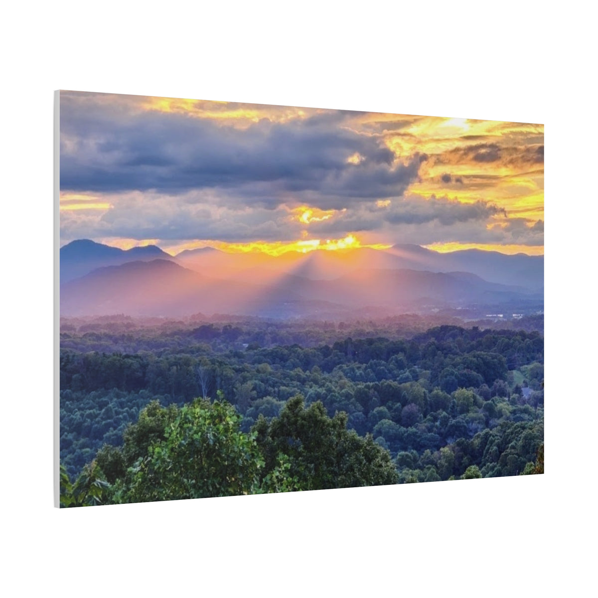 Matte Canvas, Stretched, 1.25"