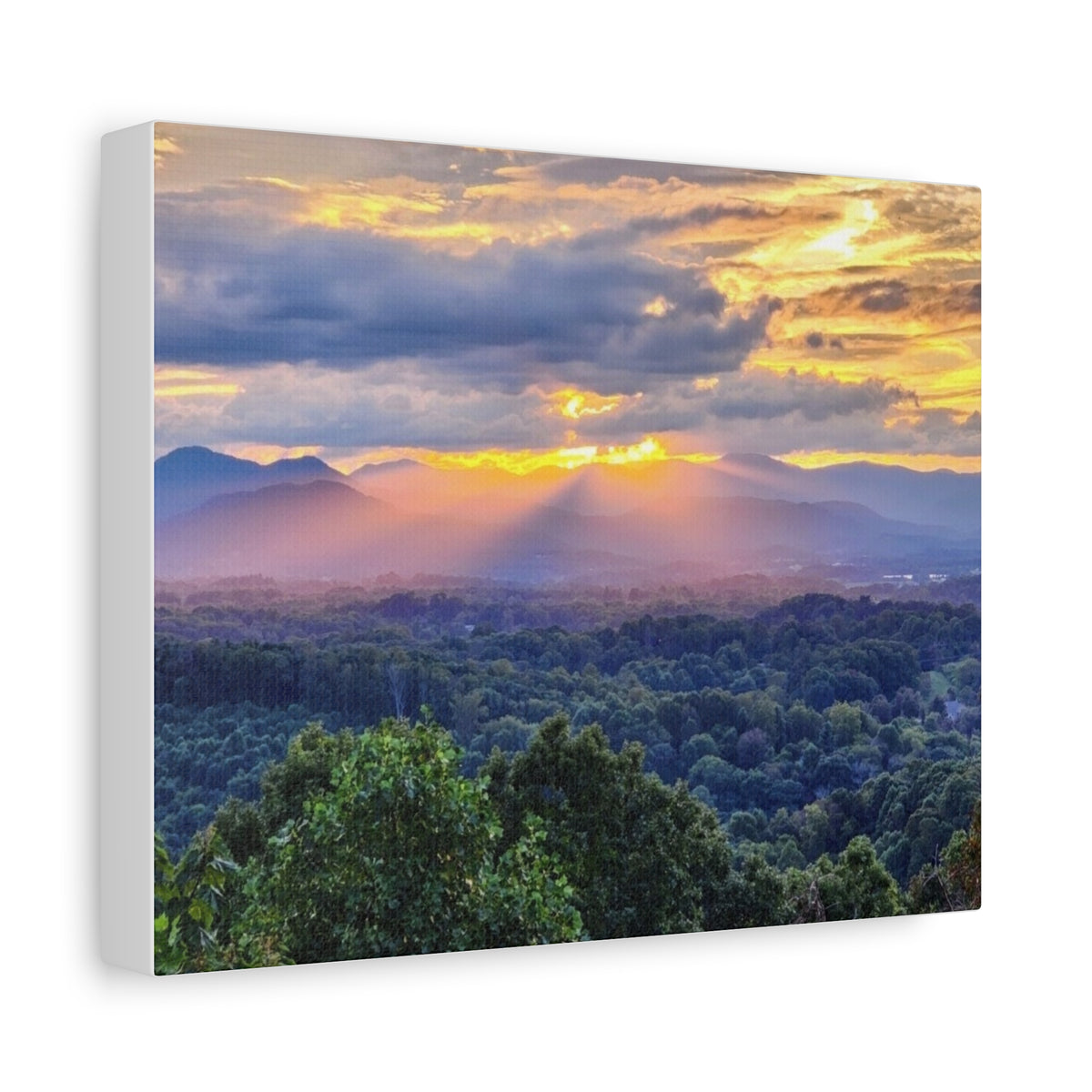 Matte Canvas, Stretched, 1.25"